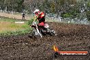 Champions Ride Days MotoX Broadford 24 11 2013 - 6CR_3232