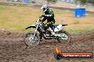 Champions Ride Days MotoX Broadford 24 11 2013 - 6CR_3244