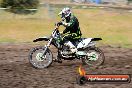 Champions Ride Days MotoX Broadford 24 11 2013 - 6CR_3245
