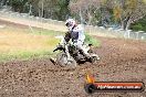 Champions Ride Days MotoX Broadford 24 11 2013 - 6CR_3254
