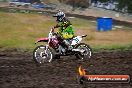 Champions Ride Days MotoX Broadford 24 11 2013 - 6CR_3262