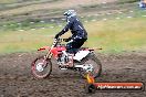 Champions Ride Days MotoX Broadford 24 11 2013 - 6CR_3287