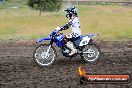 Champions Ride Days MotoX Broadford 24 11 2013 - 6CR_3296