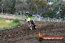 Champions Ride Days MotoX Broadford 24 11 2013 - 6CR_3303