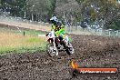 Champions Ride Days MotoX Broadford 24 11 2013 - 6CR_3304