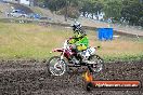 Champions Ride Days MotoX Broadford 24 11 2013 - 6CR_3306
