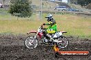 Champions Ride Days MotoX Broadford 24 11 2013 - 6CR_3308