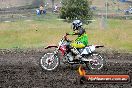 Champions Ride Days MotoX Broadford 24 11 2013 - 6CR_3309