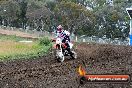 Champions Ride Days MotoX Broadford 24 11 2013 - 6CR_3310