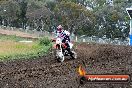Champions Ride Days MotoX Broadford 24 11 2013 - 6CR_3310
