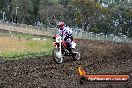 Champions Ride Days MotoX Broadford 24 11 2013 - 6CR_3311