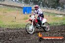 Champions Ride Days MotoX Broadford 24 11 2013 - 6CR_3313