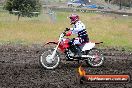 Champions Ride Days MotoX Broadford 24 11 2013 - 6CR_3315
