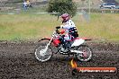 Champions Ride Days MotoX Broadford 24 11 2013 - 6CR_3316