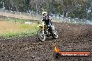 Champions Ride Days MotoX Broadford 24 11 2013 - 6CR_3320