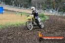 Champions Ride Days MotoX Broadford 24 11 2013 - 6CR_3321