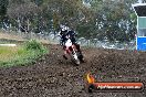 Champions Ride Days MotoX Broadford 24 11 2013 - 6CR_3331