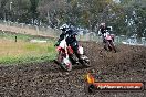 Champions Ride Days MotoX Broadford 24 11 2013 - 6CR_3333