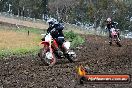 Champions Ride Days MotoX Broadford 24 11 2013 - 6CR_3334