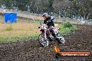 Champions Ride Days MotoX Broadford 24 11 2013 - 6CR_3338