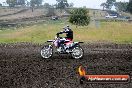 Champions Ride Days MotoX Broadford 24 11 2013 - 6CR_3340