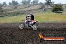 Champions Ride Days MotoX Broadford 24 11 2013 - 6CR_3341