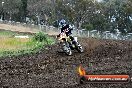 Champions Ride Days MotoX Broadford 24 11 2013 - 6CR_3353