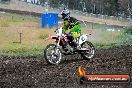 Champions Ride Days MotoX Broadford 24 11 2013 - 6CR_3364