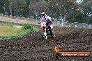 Champions Ride Days MotoX Broadford 24 11 2013 - 6CR_3372