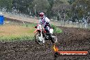 Champions Ride Days MotoX Broadford 24 11 2013 - 6CR_3374
