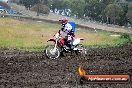 Champions Ride Days MotoX Broadford 24 11 2013 - 6CR_3376