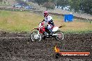 Champions Ride Days MotoX Broadford 24 11 2013 - 6CR_3377