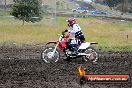 Champions Ride Days MotoX Broadford 24 11 2013 - 6CR_3378