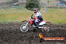 Champions Ride Days MotoX Broadford 24 11 2013 - 6CR_3379