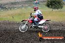 Champions Ride Days MotoX Broadford 24 11 2013 - 6CR_3380
