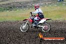 Champions Ride Days MotoX Broadford 24 11 2013 - 6CR_3381