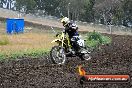 Champions Ride Days MotoX Broadford 24 11 2013 - 6CR_3384