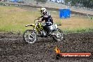 Champions Ride Days MotoX Broadford 24 11 2013 - 6CR_3385