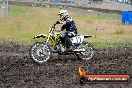 Champions Ride Days MotoX Broadford 24 11 2013 - 6CR_3386