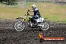 Champions Ride Days MotoX Broadford 24 11 2013 - 6CR_3387