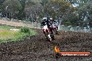 Champions Ride Days MotoX Broadford 24 11 2013 - 6CR_3392