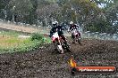 Champions Ride Days MotoX Broadford 24 11 2013 - 6CR_3393