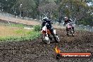 Champions Ride Days MotoX Broadford 24 11 2013 - 6CR_3394