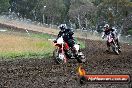 Champions Ride Days MotoX Broadford 24 11 2013 - 6CR_3395