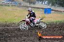 Champions Ride Days MotoX Broadford 24 11 2013 - 6CR_3399