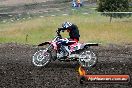 Champions Ride Days MotoX Broadford 24 11 2013 - 6CR_3402