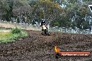 Champions Ride Days MotoX Broadford 24 11 2013 - 6CR_3404