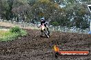 Champions Ride Days MotoX Broadford 24 11 2013 - 6CR_3406