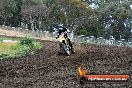 Champions Ride Days MotoX Broadford 24 11 2013 - 6CR_3407