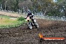 Champions Ride Days MotoX Broadford 24 11 2013 - 6CR_3408